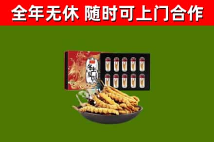 古蔺县烟酒回收冬虫夏草礼盒.jpg